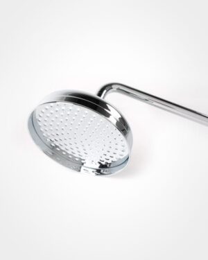 Britannia shower rose, 8" - no antiscale