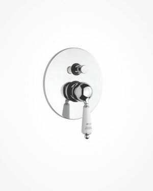 Britannia Shower Mixer and diverter