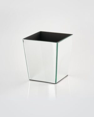 Mirrored bin