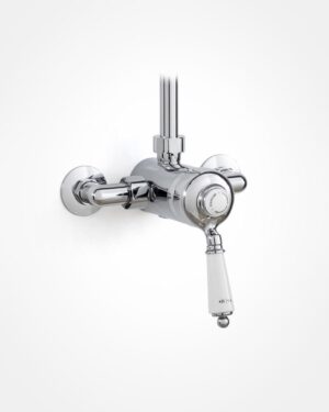Britannia exposed single lever shower mixer