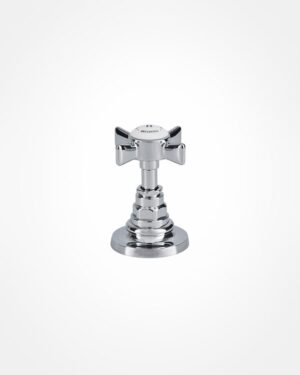 Britannia side valve